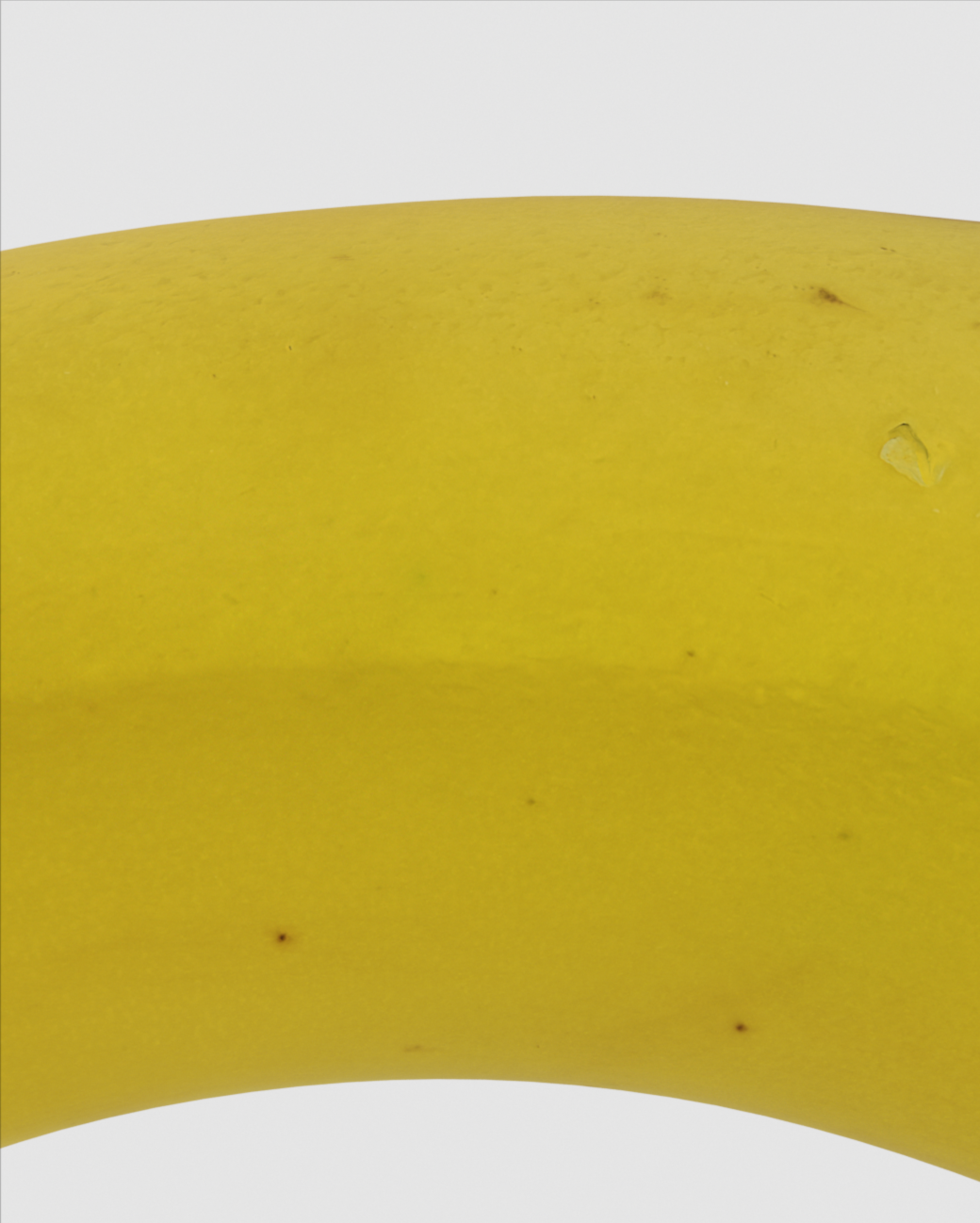 EVERYDAY ARTIFACTS [04.29.23] _ #4