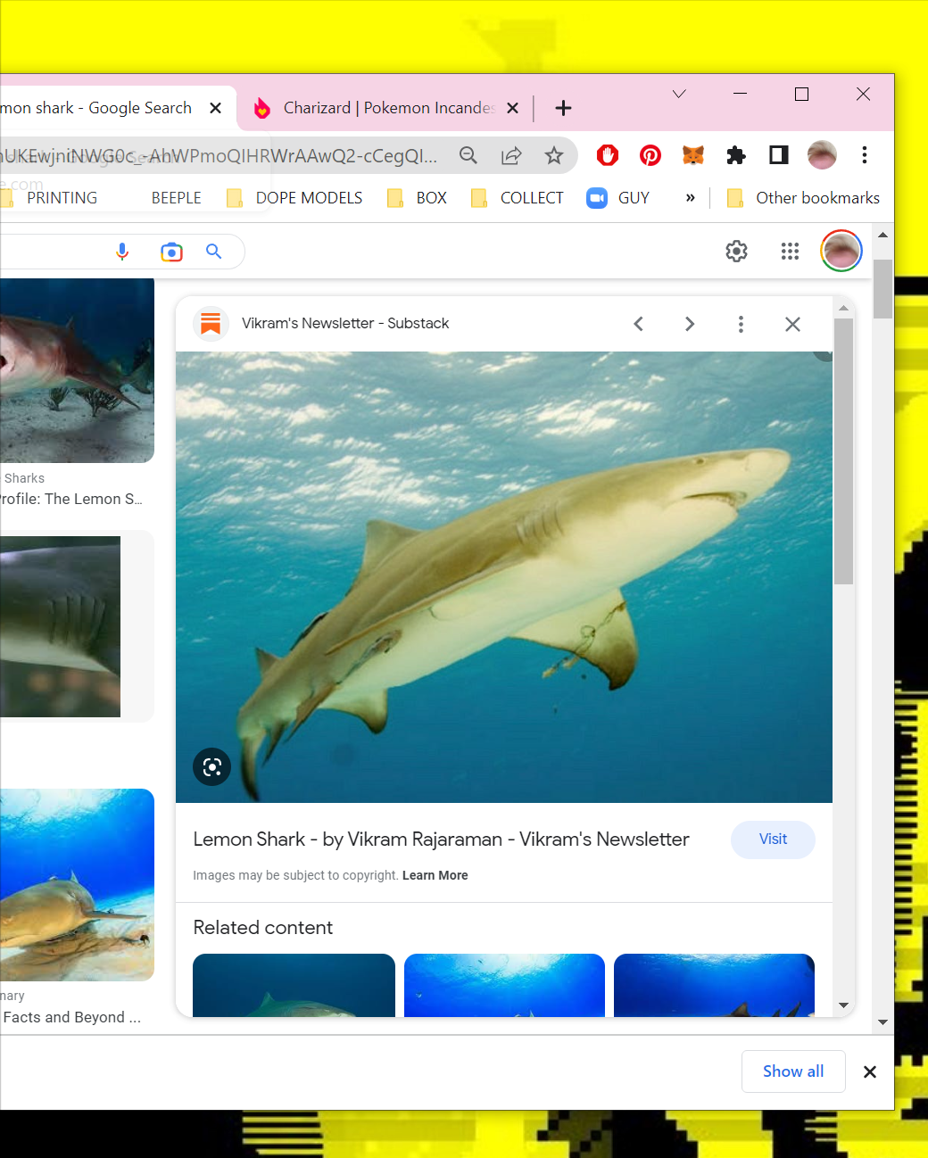 EVERYDAY ARTIFACTS [04.29.23] _ #21
