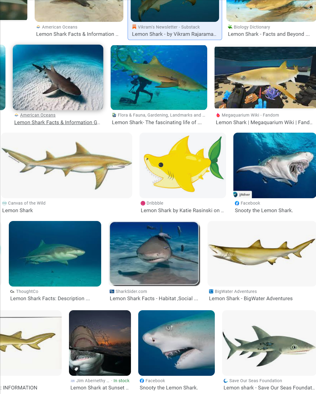 EVERYDAY ARTIFACTS [04.29.23] _ #22