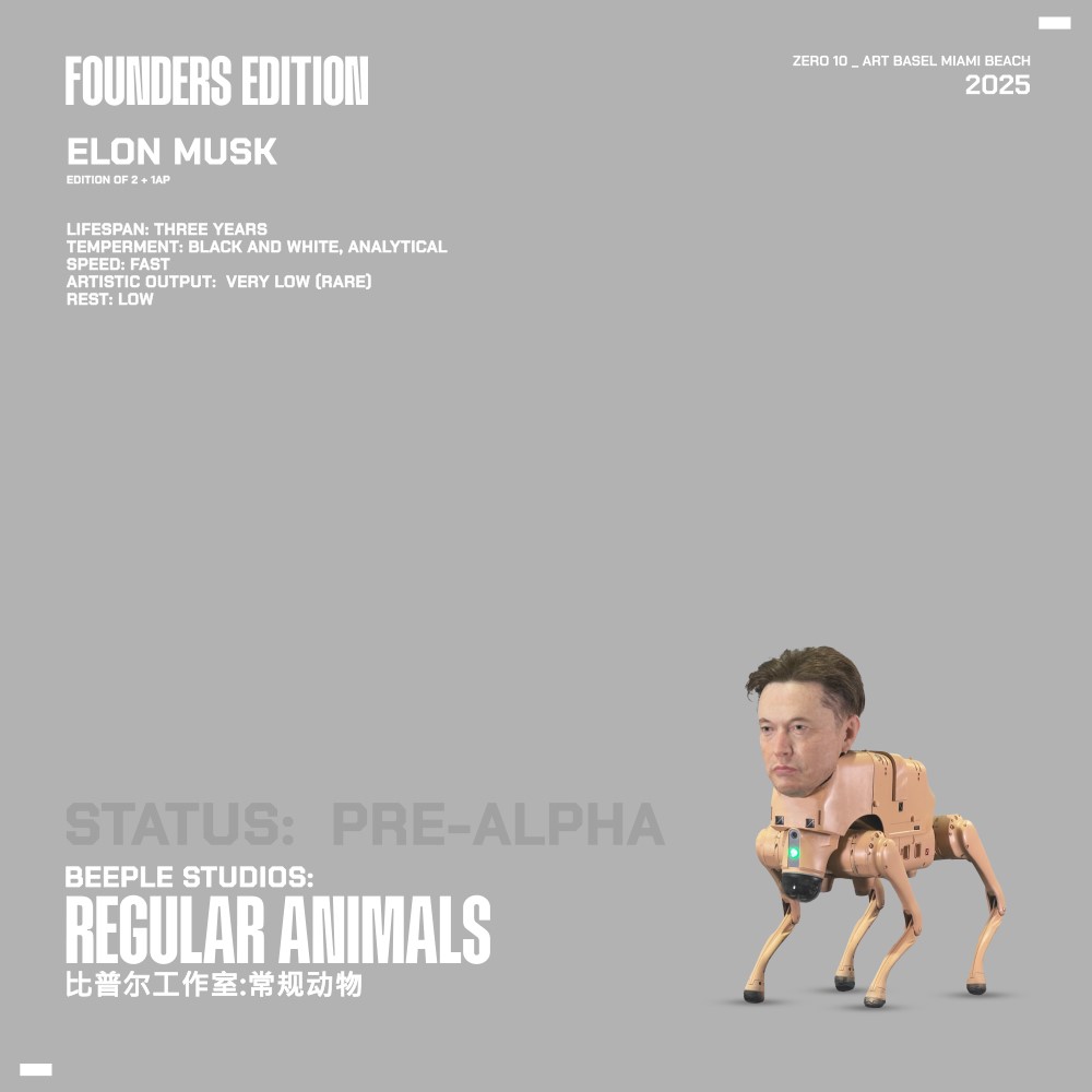 REGULAR ANIMAL _ ELON_AP